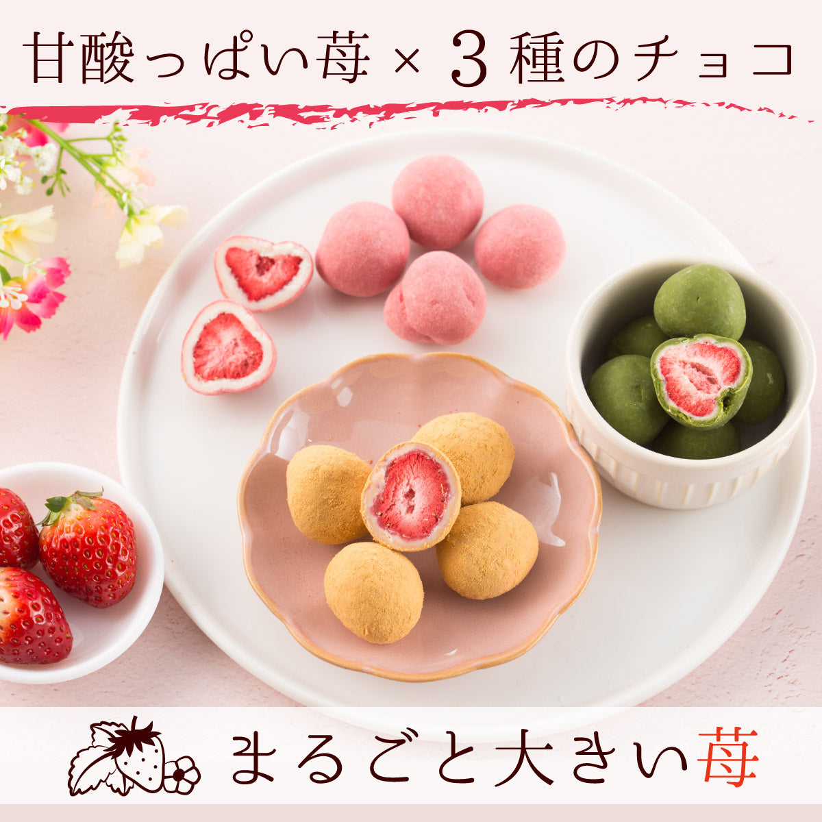 chocolate coated strawberries, japanese chocolate coated strawberries, strawberry chocolate, freeze dried strawberries coated with chocolate